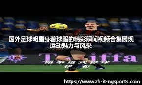 网易单机仙侠游戏《剑心雕龙》疑似手游，登陆双端、鸿蒙和NS2平台